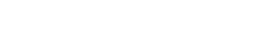 logical translation and localisation logo white