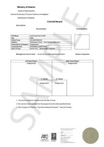 Criminal Record Certified Translation